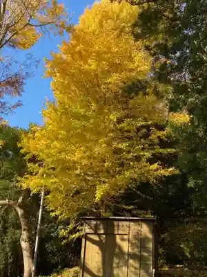 十二所神社の自然