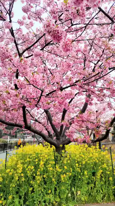 川津来宮神社(静岡県)