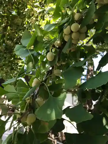 豊受神社の自然