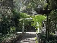 赤坂氷川神社(東京都)