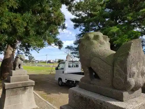 藤巻神社の狛犬