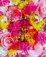 御井神社の御朱印