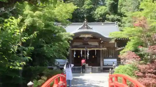 貫井神社の{uncategorized: "未分類", other: "その他", undefined: "問題あり", building: "その他建物", grave: "お墓", sacred_gate: "鳥居", guardian: "狛犬", statue: "像", buddha: "仏像", history: "歴史", nature: "自然", garden: "庭園", animal: "動物", pagoda: "塔", temizu: "手水舎", mountain_gate: "山門・神門", sanctuary: "本殿・本堂", subordinate: "末社・摂社", art: "芸術", scenery: "景色", jizo: "地蔵", ema: "絵馬", goshuin: "御朱印", omikuji: "おみくじ", items: "授与品その他", amulet: "お守り", goshuincho: "御朱印帳", eats: "食事", festival: "お祭り", votive_dance: "神楽", shichigosan: "七五三参", wedding: "結婚式", experience: "体験その他", initially: "初詣", around: "周辺", anti_infection: "感染症対策"}