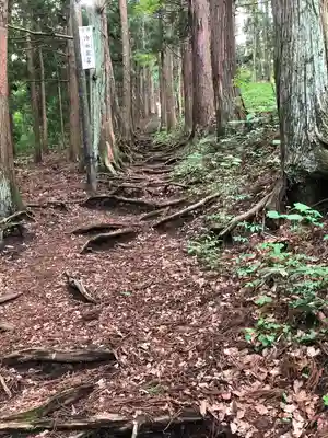 龍興山神社の自然