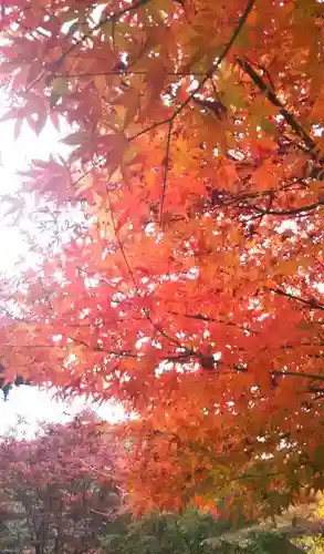 清水観音堂の自然