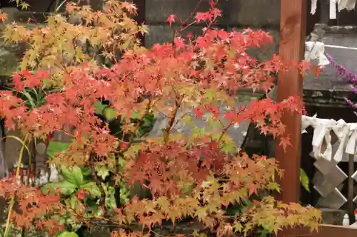 御嶽山神社の庭園