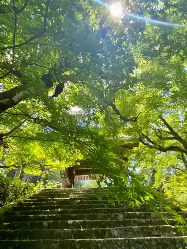 養父神社のその他建物