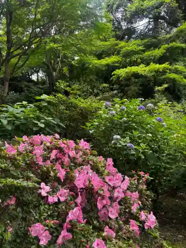 浄智寺(神奈川県)