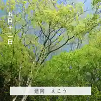 壽徳寺 じゅとくじの自然