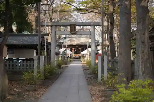 丸子山王日枝神社の鳥居