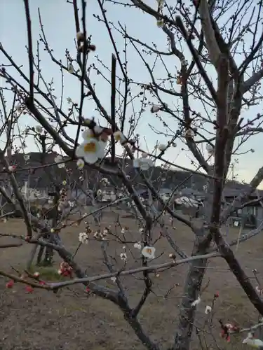 天澤院の庭園