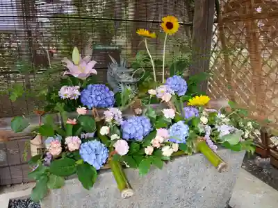 國魂神社の手水舎