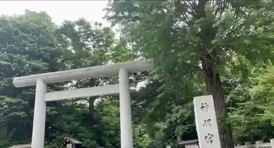 阿佐ヶ谷神明宮(東京都)