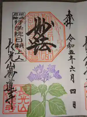直押御朱印　　アジサイ＾＾