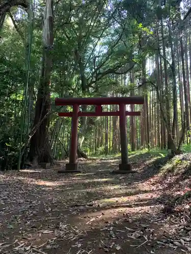 宇迦神社の鳥居