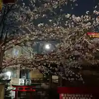 三輪神社の自然