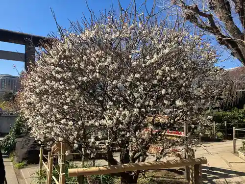 五條天神社(東京都)