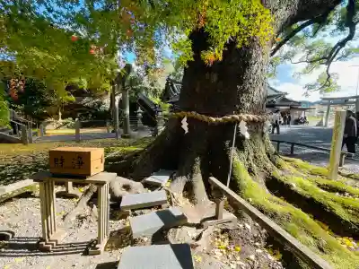 事任八幡宮(静岡県)