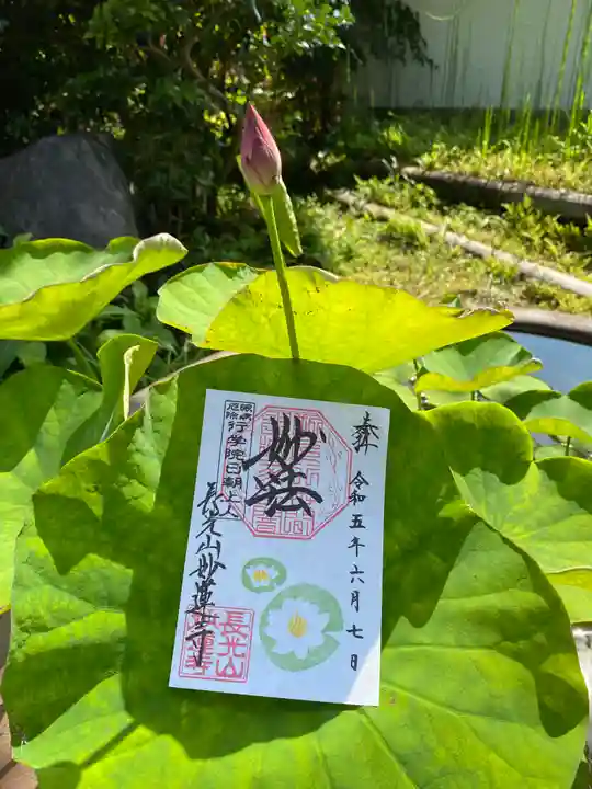 妙蓮寺(神奈川県)