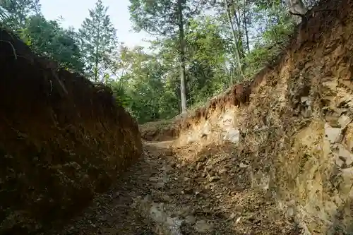 賀茂別雷神社の自然