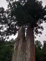 室生龍穴神社(奈良県)