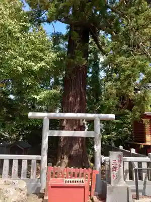 大杉神社のその他建物
