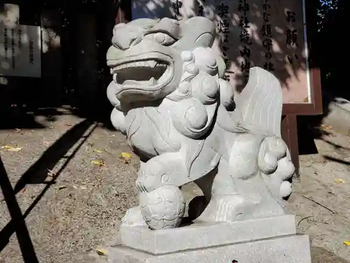 自由が丘熊野神社の狛犬