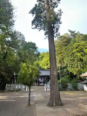 豊鹿嶋神社(東京都)