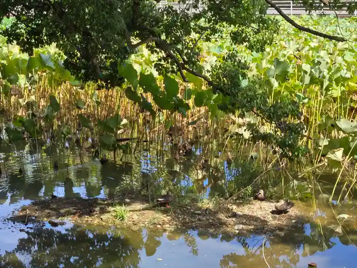 櫻宮神社(静岡県)