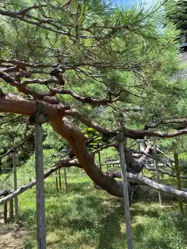 常楽寺(長野県)