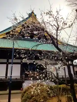 妙法寺(東京都)