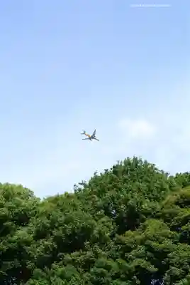 明治神宮(東京都)