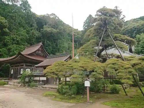 天恩寺(愛知県)