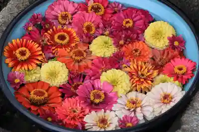 大鏑神社の手水舎