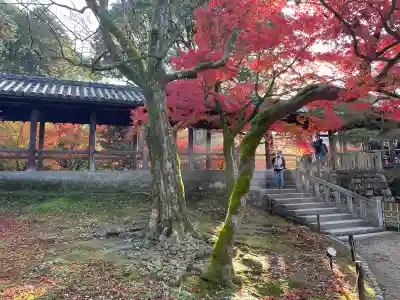 東福禅寺(東福寺)(京都府)