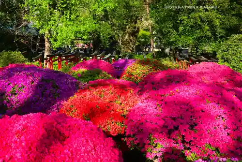 根津神社(東京都)