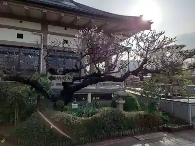 圓蔵院(和歌山県)