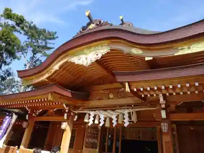亀ケ池八幡宮の本殿・本堂