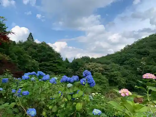 済渡寺の景色