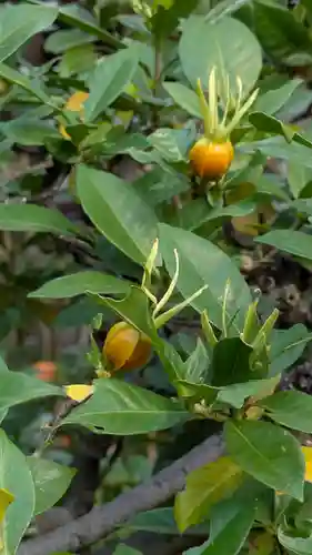 宝蔵寺(京都府)