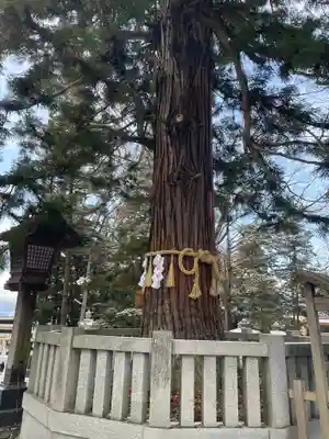 諏訪大社下社秋宮(長野県)