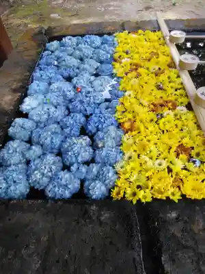 土津神社|こどもと出世の神さまの手水舎