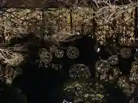 東寺(教王護国寺)の{uncategorized: "未分類", other: "その他", undefined: "問題あり", building: "その他建物", grave: "お墓", sacred_gate: "鳥居", guardian: "狛犬", statue: "像", buddha: "仏像", history: "歴史", nature: "自然", garden: "庭園", animal: "動物", pagoda: "塔", temizu: "手水舎", mountain_gate: "山門・神門", sanctuary: "本殿・本堂", subordinate: "末社・摂社", art: "芸術", scenery: "景色", jizo: "地蔵", ema: "絵馬", goshuin: "御朱印", omikuji: "おみくじ", items: "授与品その他", amulet: "お守り", goshuincho: "御朱印帳", eats: "食事", festival: "お祭り", votive_dance: "神楽", shichigosan: "七五三参", wedding: "結婚式", experience: "体験その他", initially: "初詣", around: "周辺", anti_infection: "感染症対策"}