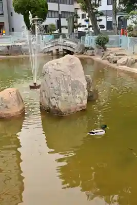 住吉神社(福岡県)