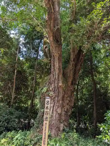 中山神社(岡山県)