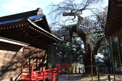 小川諏訪神社の景色