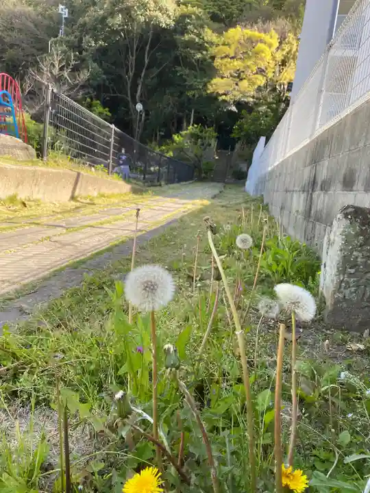 菅原神社の自然