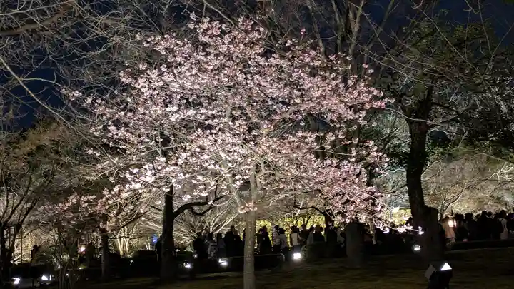 東寺(教王護国寺)(京都府)