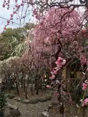 小村井 香取神社の庭園