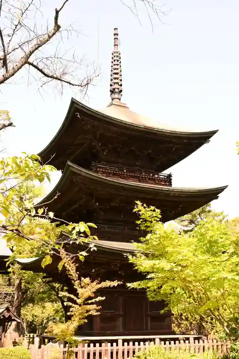 信濃國分寺(長野県)